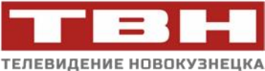 Логотип телеканала ТВН