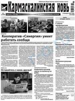 Скан обложки издания Кармаскалинская новь