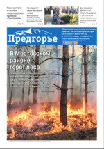 Скан обложки издания Предгорье