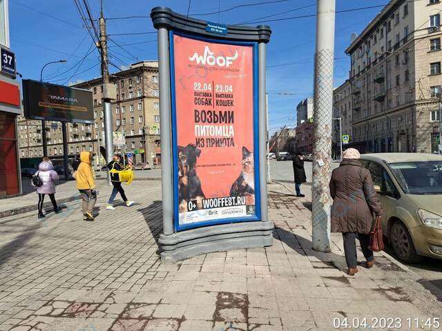 Размещение рекламы для фестиваля помощи животным «Woof Fest» в Новосибирске