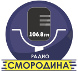 Логотип радиостанции СМоРОДИНА (местное)
